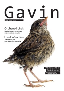 Front cover of Gavin issue 1